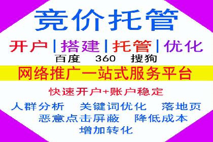 落地页在SEM优化中的重要性及成功案例